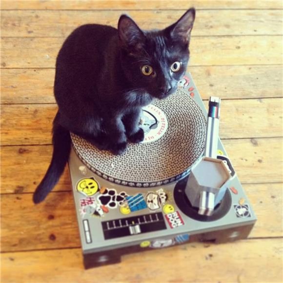 Cat Scratcher DJ Deck Interactive Cat Toys Cat Scratching Post Alternative - Picture 4 of 7